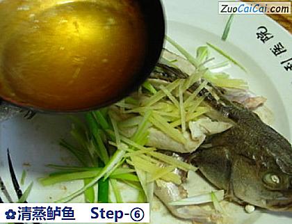 清蒸鲈鱼做法第六步骤