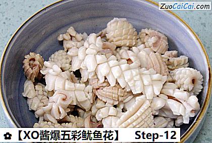 XO酱爆五彩鱿鱼花做法第十二步骤