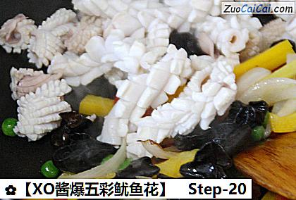 XO酱爆五彩鱿鱼花做法第二十步骤
