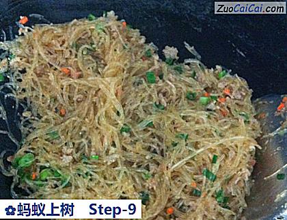 蚂蚁上树做法第九步骤