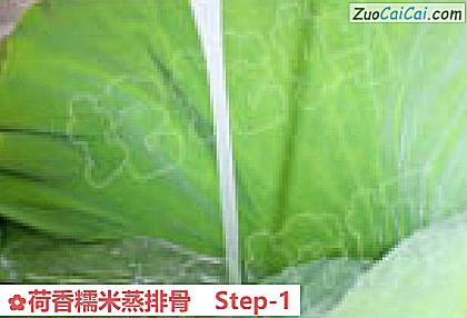 荷香糯米蒸排骨做法第一步骤