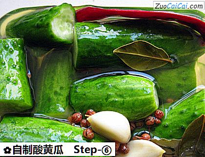 自制酸黄瓜做法第六步骤