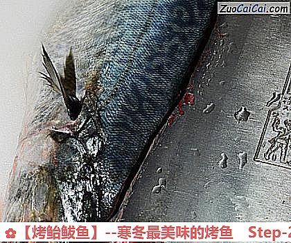 烤鲐鲅鱼做法第二步骤