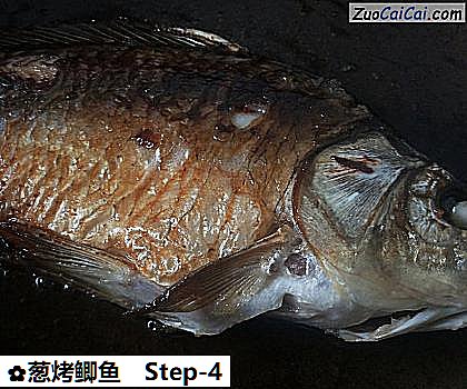 葱烤鲫鱼做法第四步骤
