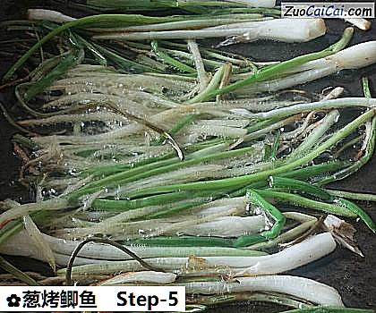 葱烤鲫鱼做法第五步骤