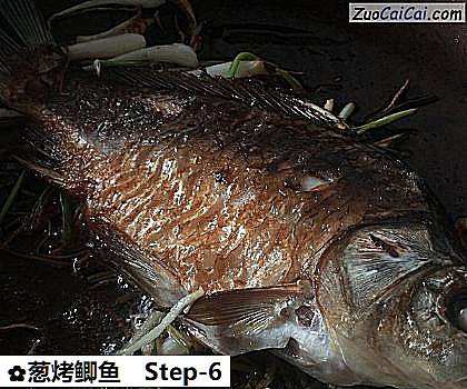 葱烤鲫鱼做法第六步骤