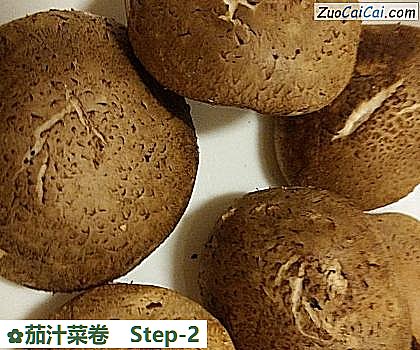 茄汁菜卷做法第二步骤