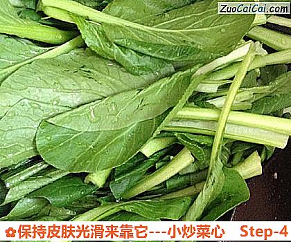 -小炒菜心做法第四步骤