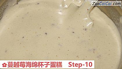 蔓越莓海绵杯子蛋糕做法第十步骤