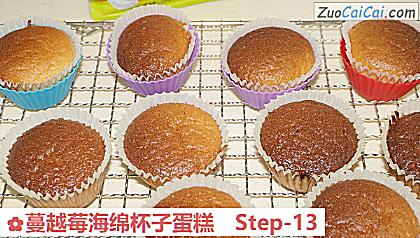 蔓越莓海绵杯子蛋糕做法第十三步骤