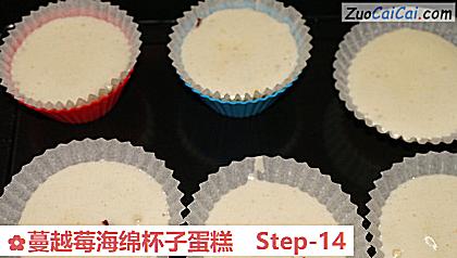 蔓越莓海绵杯子蛋糕做法第十四步骤