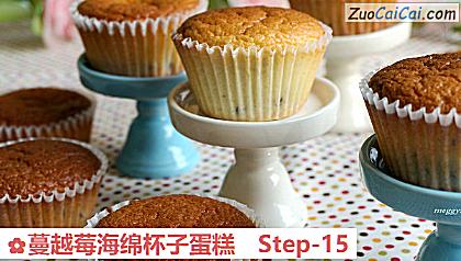 蔓越莓海绵杯子蛋糕做法第十五步骤