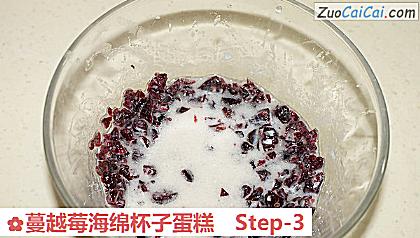 蔓越莓海绵杯子蛋糕做法第三步骤