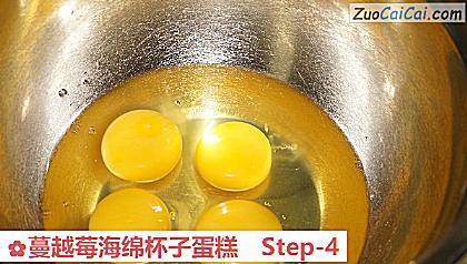 蔓越莓海绵杯子蛋糕做法第四步骤