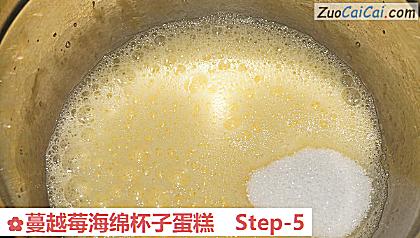 蔓越莓海绵杯子蛋糕做法第五步骤