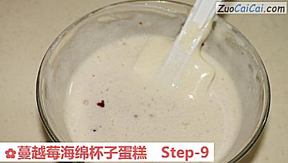 蔓越莓海绵杯子蛋糕做法第九步骤