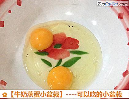 牛奶蒸蛋小盆栽做法第一步骤