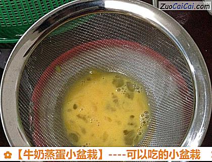 牛奶蒸蛋小盆栽做法第二步骤