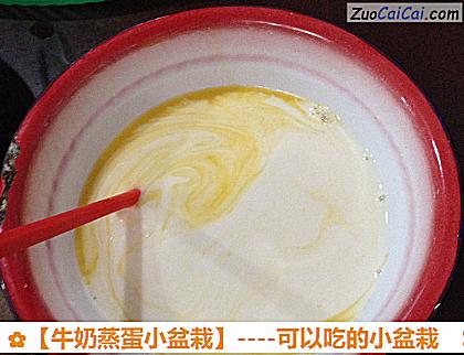 牛奶蒸蛋小盆栽做法第三步骤