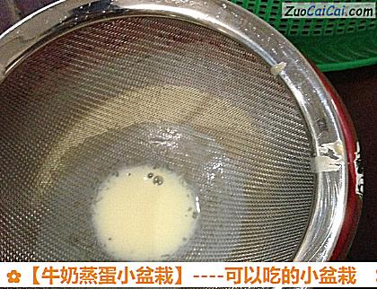 牛奶蒸蛋小盆栽做法第四步骤