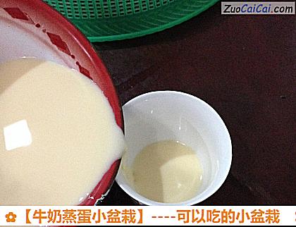 牛奶蒸蛋小盆栽做法第五步骤