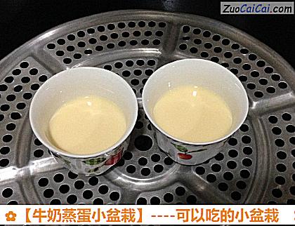 牛奶蒸蛋小盆栽做法第六步骤