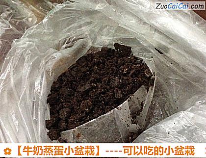 牛奶蒸蛋小盆栽做法第七步骤