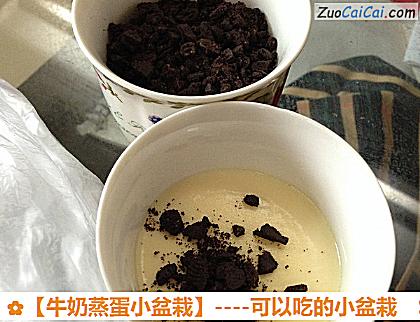 牛奶蒸蛋小盆栽做法第八步骤