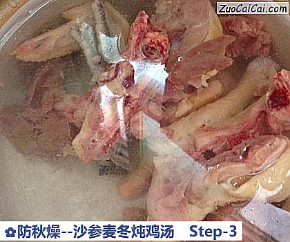 防秋燥-沙参麦冬炖鸡汤做法第三步骤