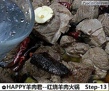 HAPPY羊肉君做法第十三步骤
