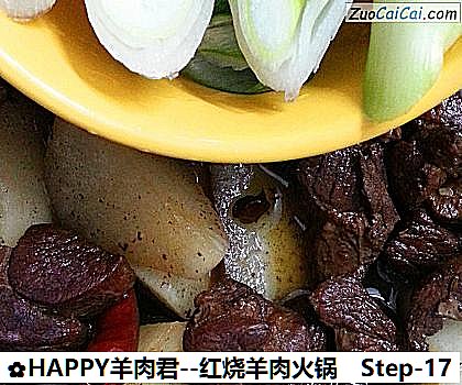 HAPPY羊肉君做法第十七步骤