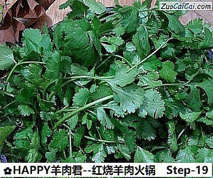 HAPPY羊肉君做法第十九步骤