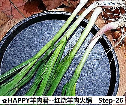 HAPPY羊肉君做法第二十六步骤