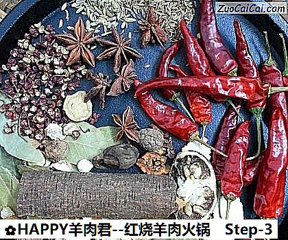 HAPPY羊肉君做法第三步骤