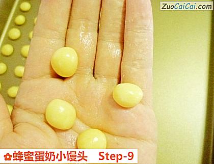 蜂蜜蛋奶小馒头做法第九步骤