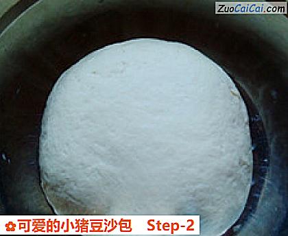 可爱的小猪豆沙包做法第二步骤