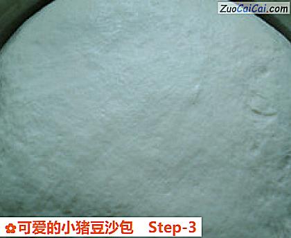 可爱的小猪豆沙包做法第三步骤