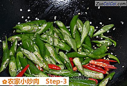 农家小炒肉做法第三步骤
