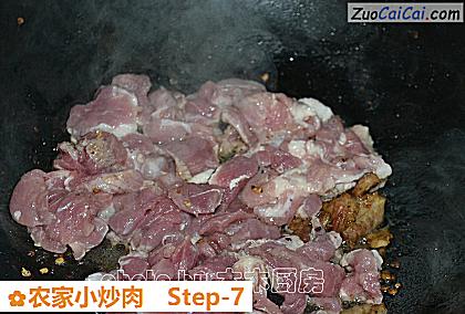 农家小炒肉做法第七步骤