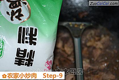 农家小炒肉做法第九步骤
