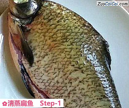 清蒸扁鱼做法第一步骤