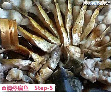清蒸扁鱼做法第五步骤