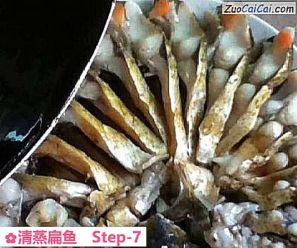 清蒸扁鱼做法第七步骤