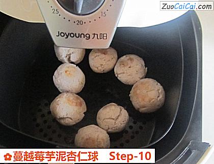 蔓越莓芋泥杏仁球做法第十步骤