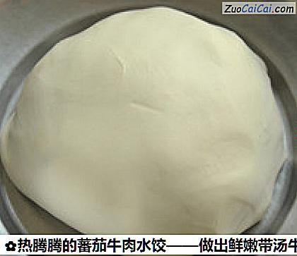 热腾腾的蕃茄牛肉水饺做法第一步骤