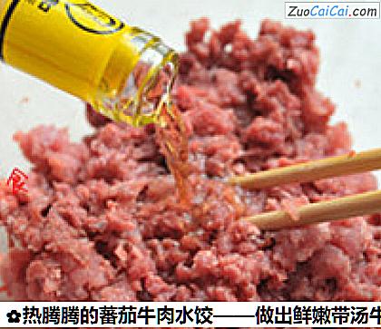 热腾腾的蕃茄牛肉水饺做法第三步骤