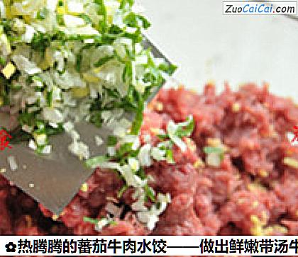 热腾腾的蕃茄牛肉水饺做法第四步骤