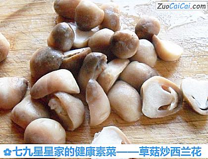 草菇炒西兰花做法第三步骤