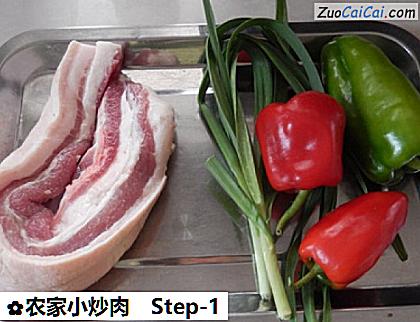 农家小炒肉做法第一步骤