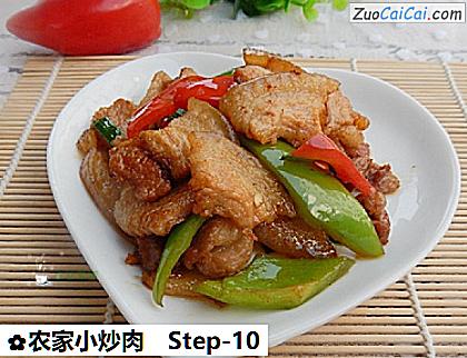 农家小炒肉成品图1